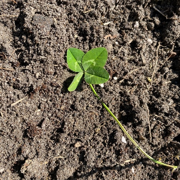 Meet your Posher, Nicole - Picture 16 of 16